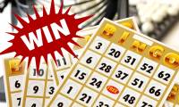 The Best Tips for Bingo Beginners