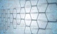 What is Honeytoken? How to detect cybercriminals stealing data?