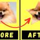 Photo of How to crop an image into a circle on Canva