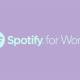 Photo of What is Spotify for Work? How to access?
