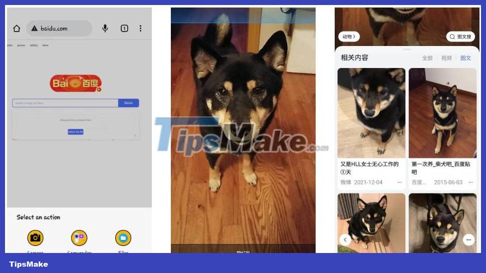 10 best reverse image search apps for iPhone and Android Picture 9
