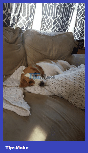 14 photo editing software that uses Artificial Intelligence to 'enhance' your photos Picture 2