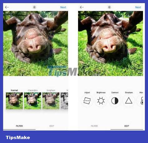 15 things you didn't know you could do on Instagram Picture 5
