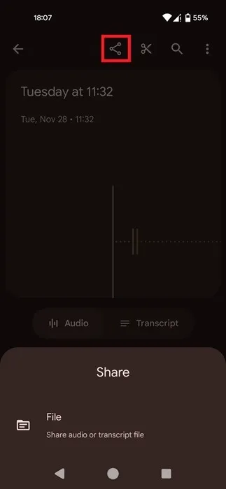 5 methods for recording audio on Android Picture 4