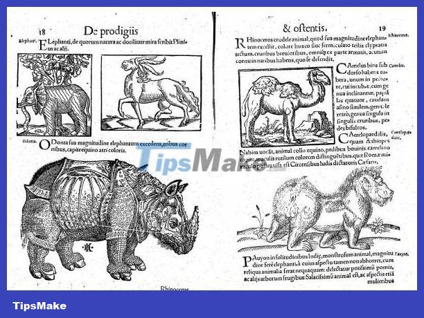 5 strangest books in human history Picture 4