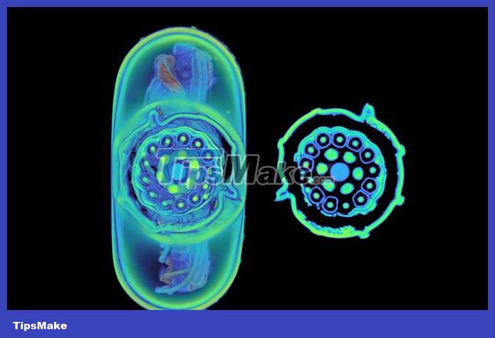 CT scan of Apple's Thunderbolt 4 Pro cable shows why it costs $129 Picture 3