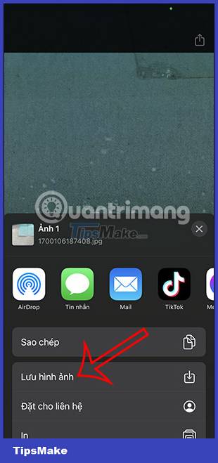 Detailed instructions for using magnifier on iPhone Picture 15