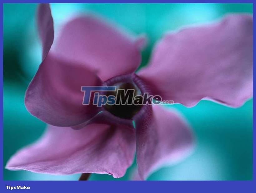 Download the nostalgic Windows XP SP2 wallpaper set Picture 14