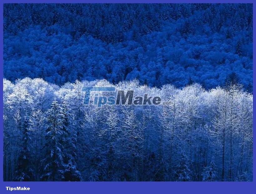 Download the nostalgic Windows XP SP2 wallpaper set Picture 5