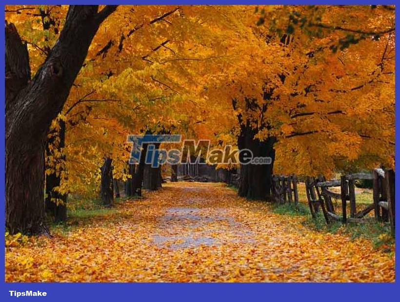 Download the nostalgic Windows XP SP2 wallpaper set Picture 8