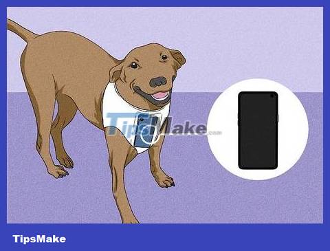 How to 10 cool ways to trick your phone's step counter (without walking) Picture 9