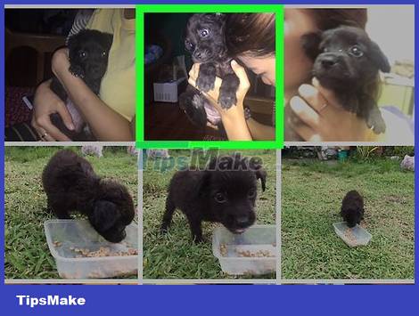 How to Add Photos to Facebook Posts Picture 18