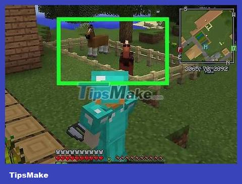 How to Breed Horses in Minecraft Game Picture 12