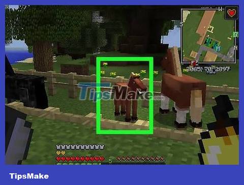 How to Breed Horses in Minecraft Game Picture 16