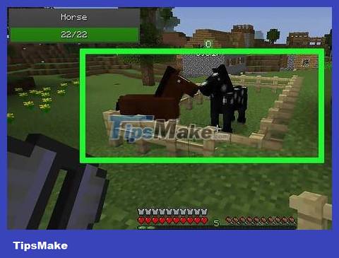How to Breed Horses in Minecraft Game Picture 9