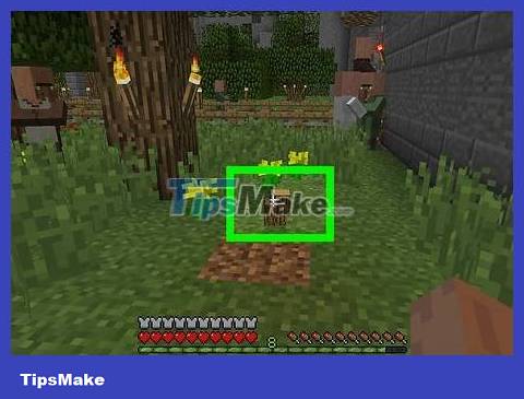 How to Breed Villagers in Minecraft Picture 12