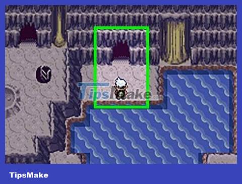 How to Catch Bagon in Pokemon Emerald Picture 11