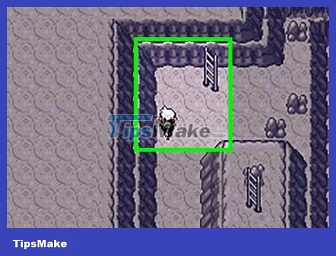 How to Catch Bagon in Pokemon Emerald Picture 13