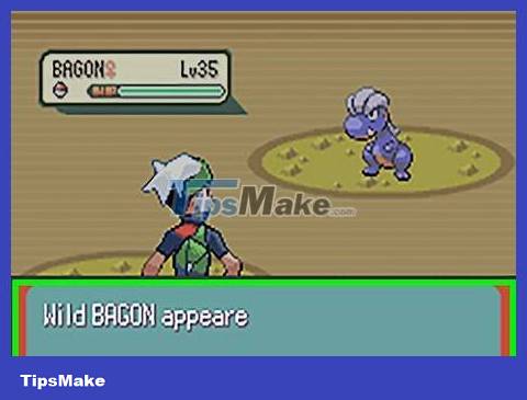 How to Catch Bagon in Pokemon Emerald Picture 18