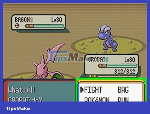 How to Catch Bagon in Pokemon Emerald Picture 19