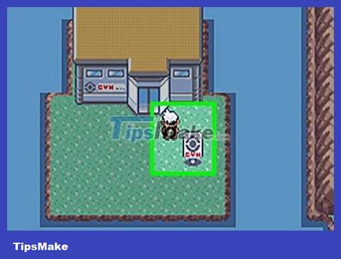 How to Catch Bagon in Pokemon Emerald Picture 6