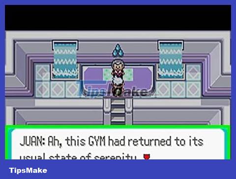 How to Catch Bagon in Pokemon Emerald Picture 7