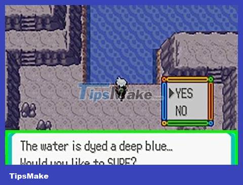 How to Catch Bagon in Pokemon Emerald Picture 9
