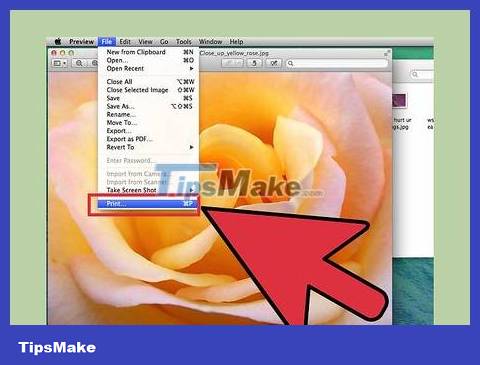 How to Convert JPG Files to PDF Format - TipsMake.com