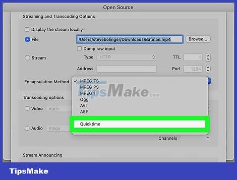 How to Copy (rip) DVD discs with VLC Picture 30