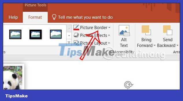 How to create image borders in PowerPoint Picture 4