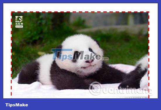 How to create image borders in PowerPoint Picture 8