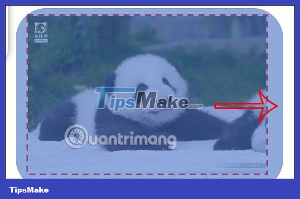 How to create image borders in PowerPoint Picture 9