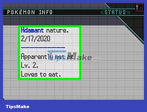 How to Create the Strongest Pokemon Team Picture 14