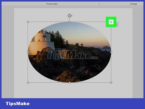 How to Crop a Picture in Word Picture 13