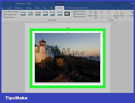 How to Crop a Picture in Word Picture 9