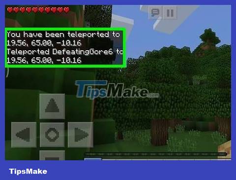 How to Determine Coordinates on Minecraft Picture 13