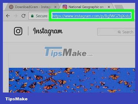How to Download Photos on Instagram Picture 6