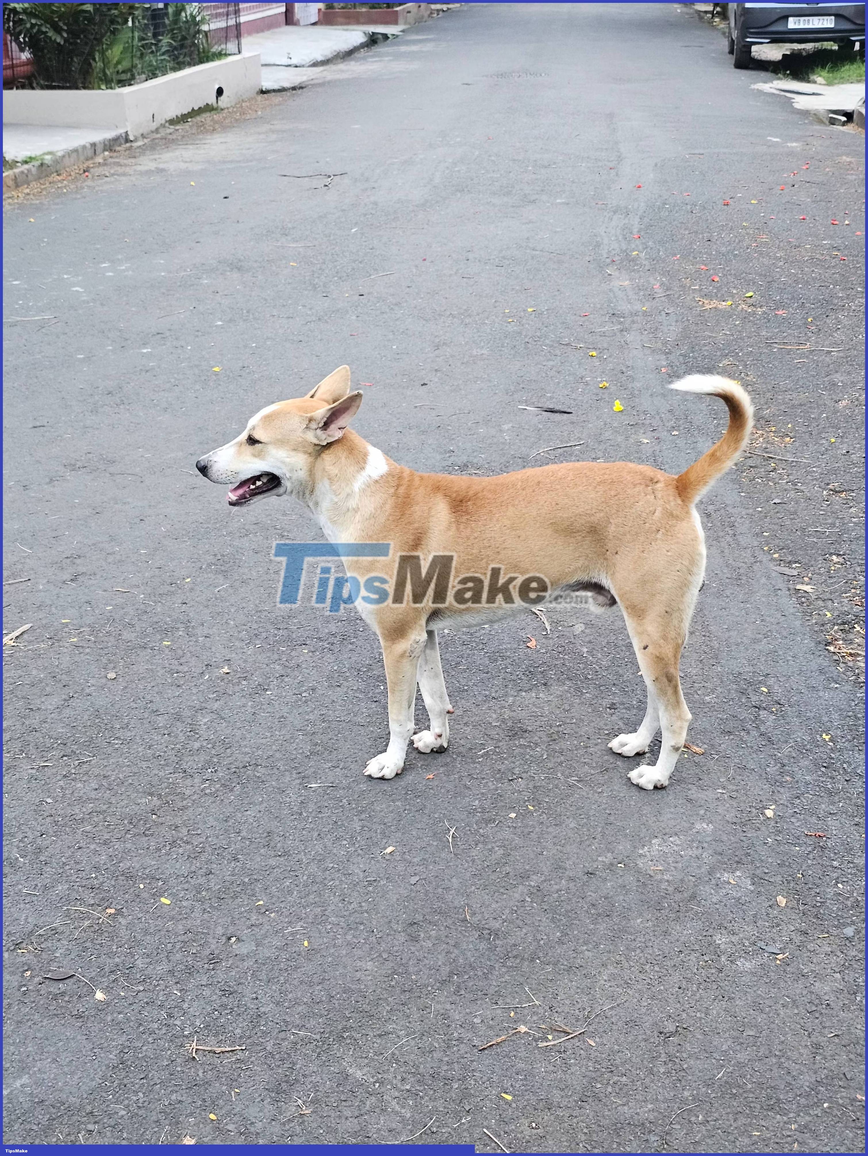 How to enable 2x Zoom feature on Samsung Galaxy S23 Picture 1