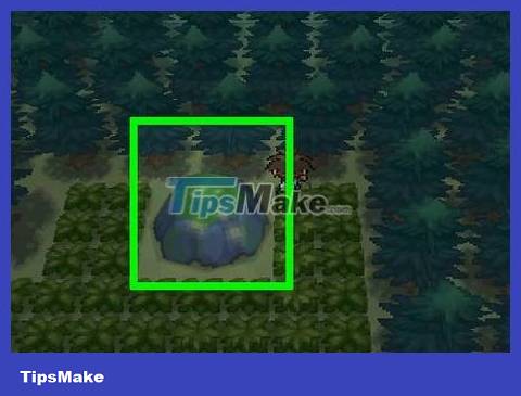 How to Evolve Eevee in Pokémon HeartGold/SoulSilver Picture 18