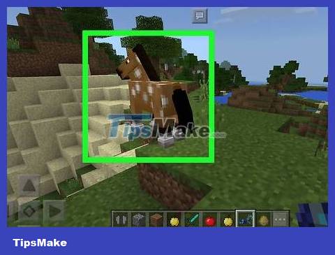 How to Find a Village in Minecraft Picture 40