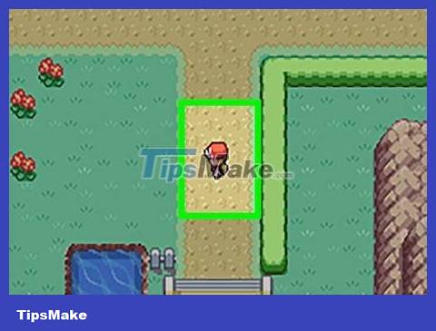 How to Get Cut HM in Pokémon FireRed and LeafGreen Picture 13