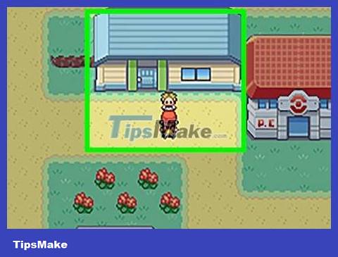 How to Get Cut HM in Pokémon FireRed and LeafGreen Picture 15