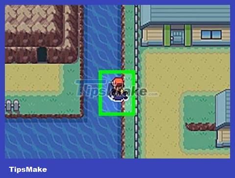 How to Get Cut HM in Pokémon FireRed and LeafGreen Picture 16