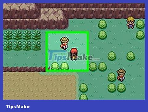 How to Get Cut HM in Pokémon FireRed and LeafGreen Picture 8