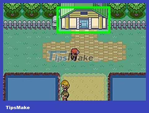 How to Get Cut HM in Pokémon FireRed and LeafGreen Picture 9