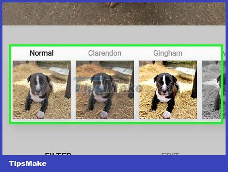 How to Get More Likes on Instagram Photos Picture 5
