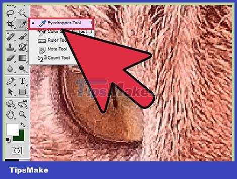 How to Improve JPEG Image Quality Picture 26