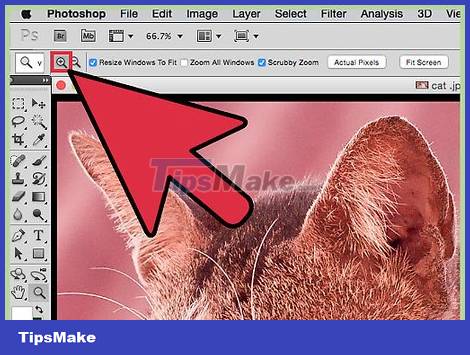 How to Improve JPEG Image Quality Picture 28