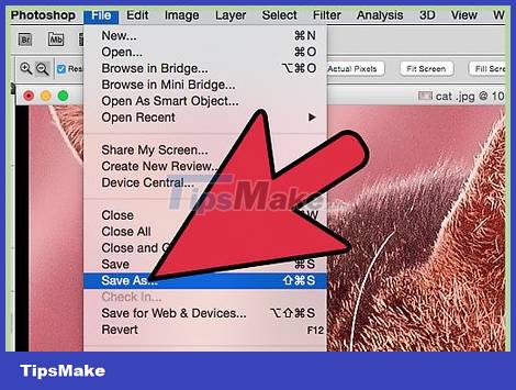 How to Improve JPEG Image Quality Picture 29
