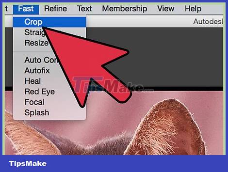 How to Improve JPEG Image Quality Picture 4
